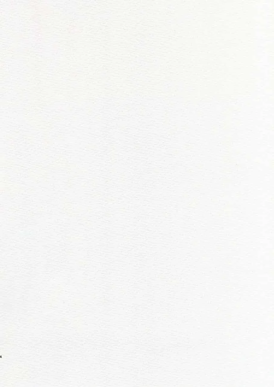 0004.webp