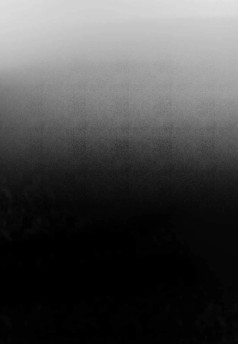 0014.webp