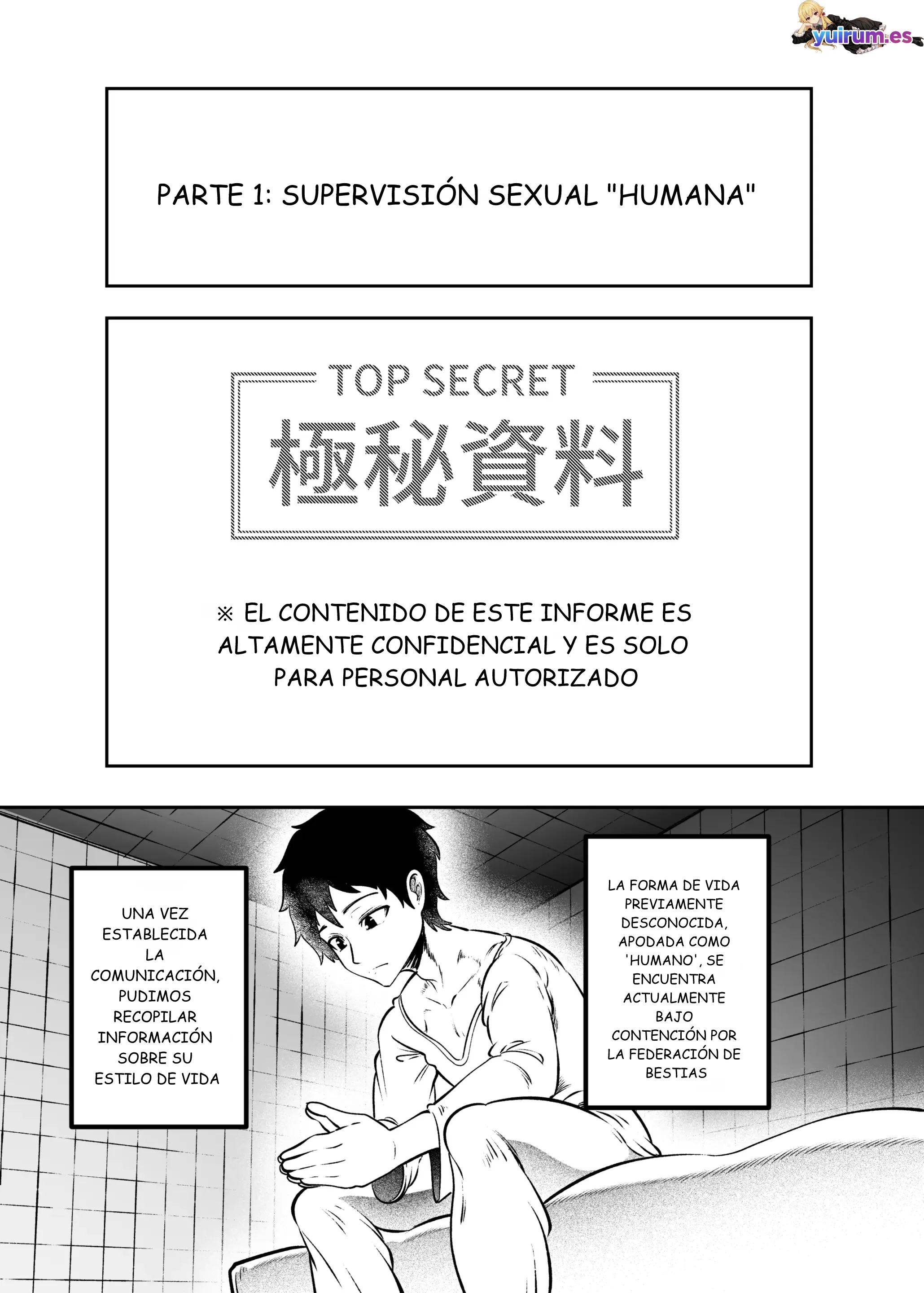 04.webp