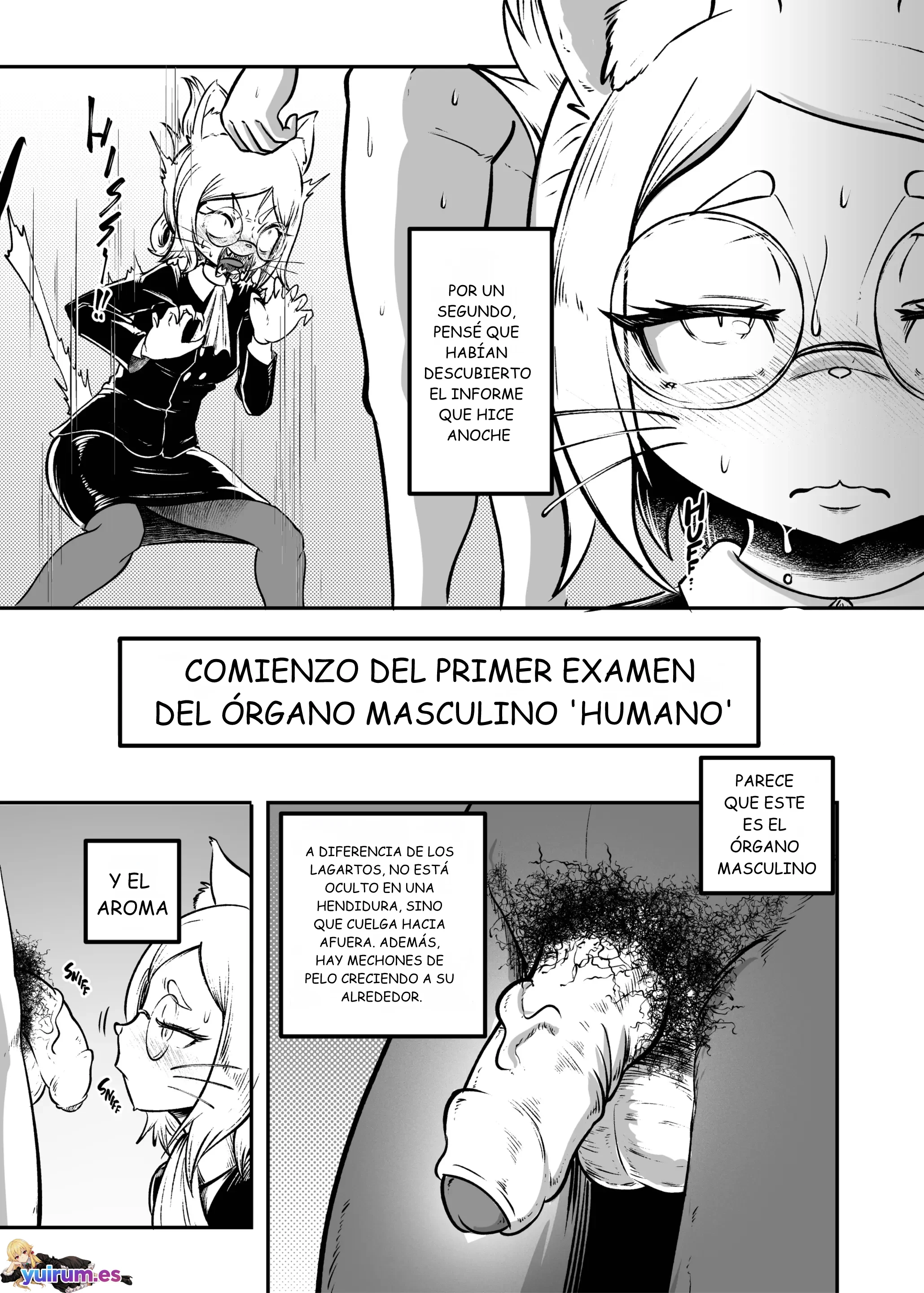 08.webp