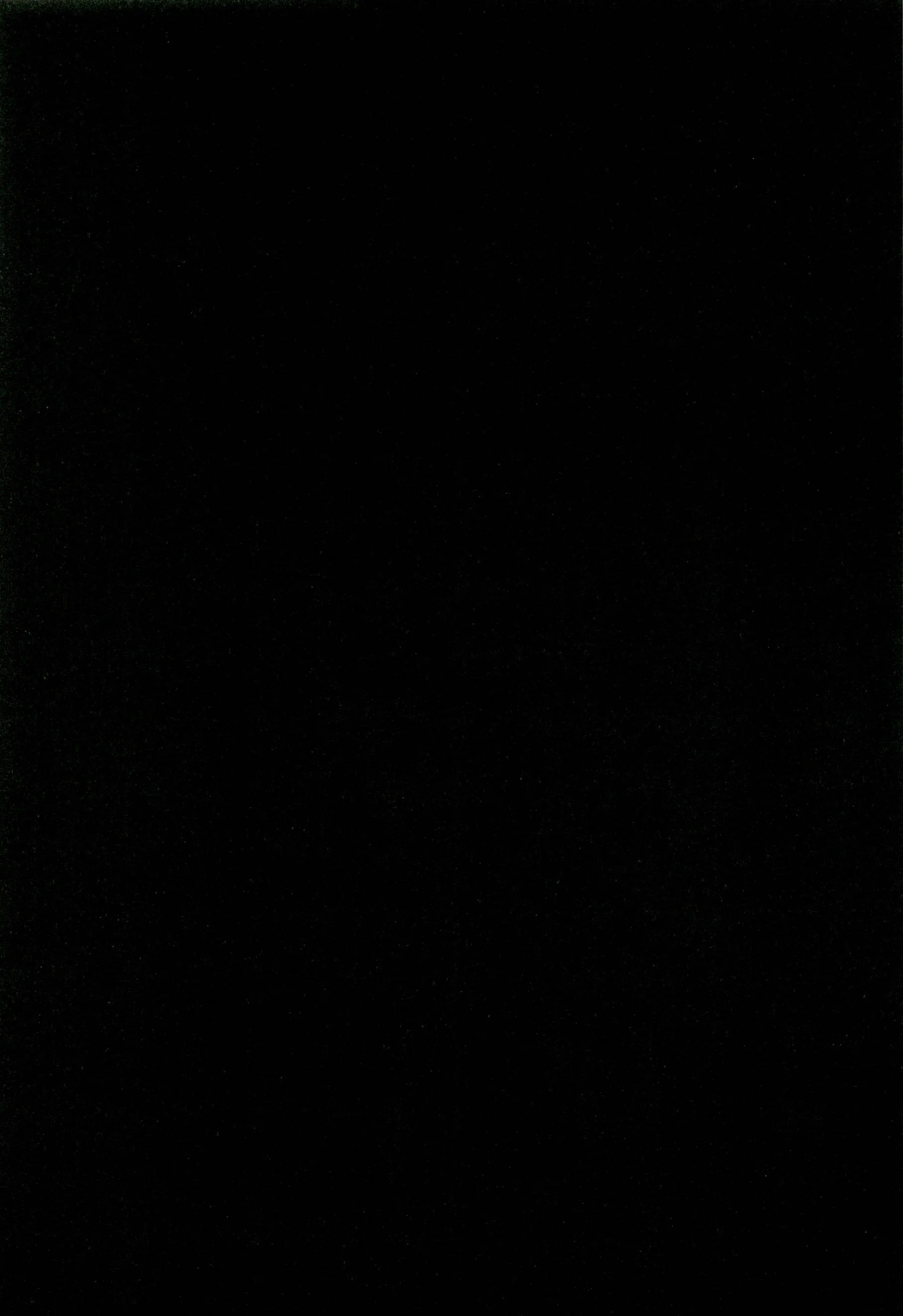 Another 02 (254).webp
