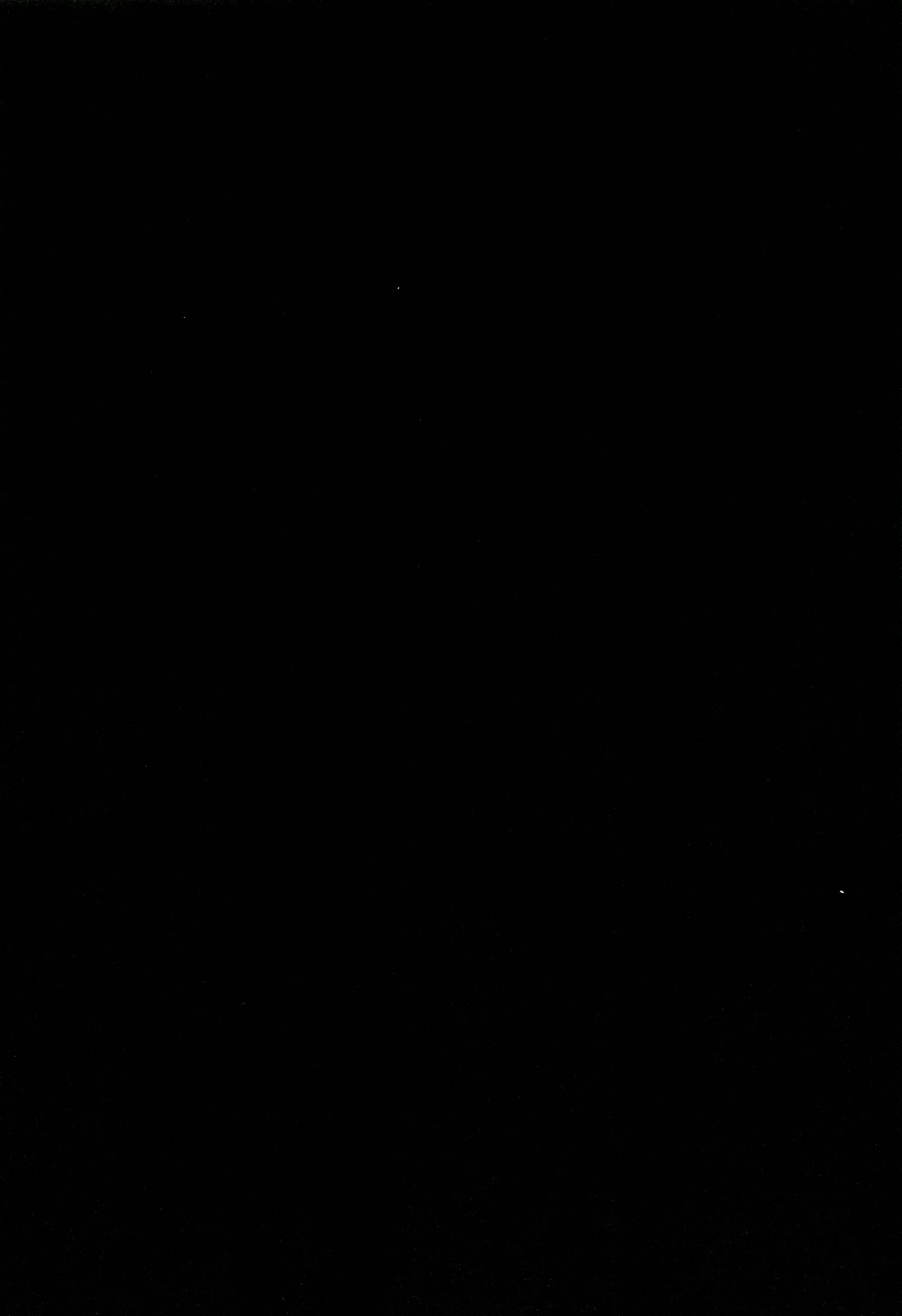 Another 02 (292).webp