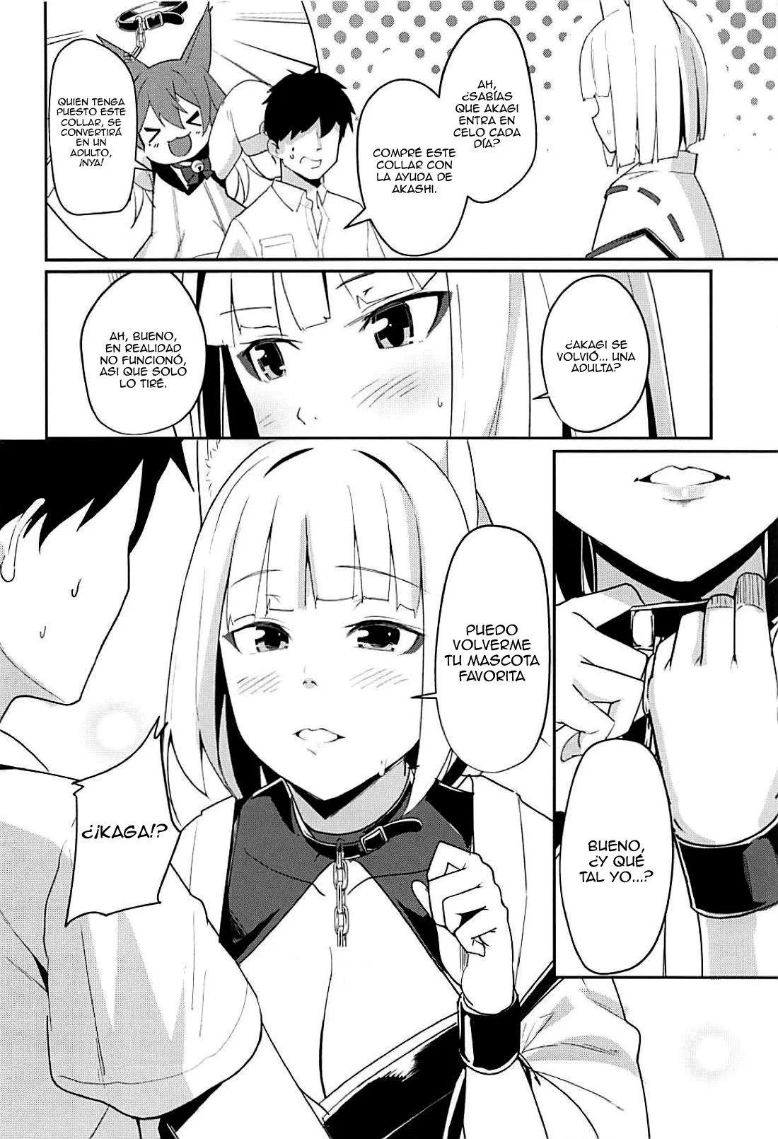 Pet-na-Kaga-05.webp