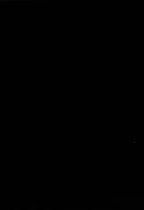 Another 02 (292).webp