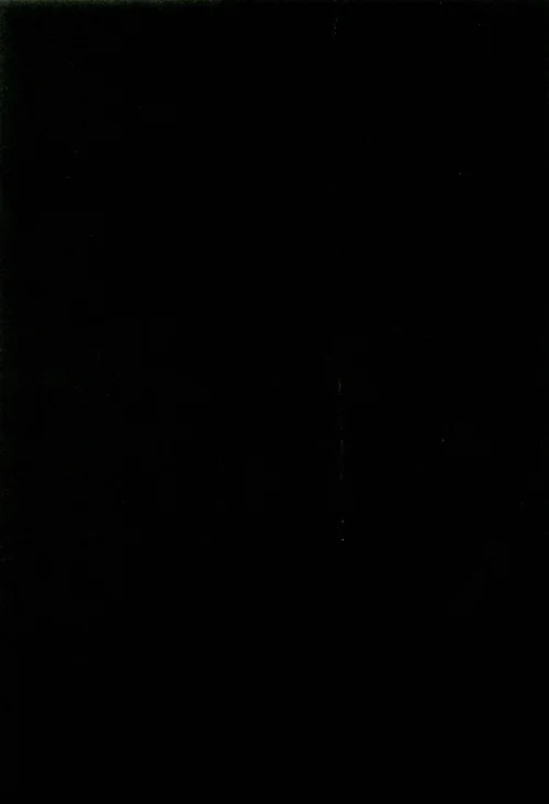 Another 02 (325).webp